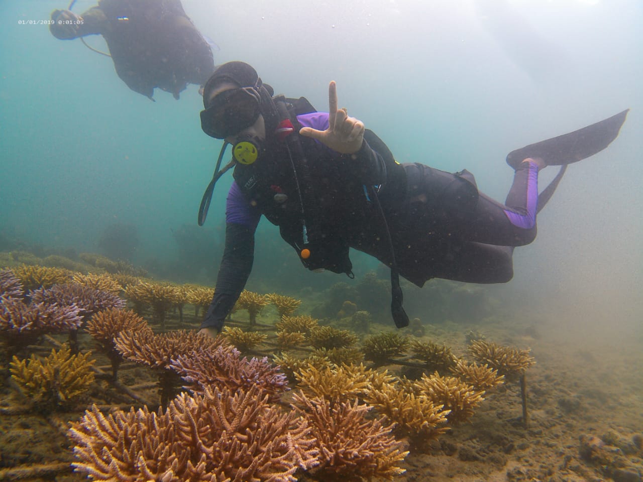 WISATA BAHARI LAUT MUNTE